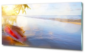 Üvegfotó Seashell a strandon osh-83555961