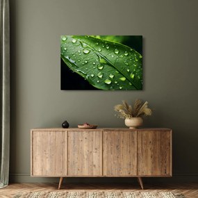 Kép - Levél eső után (90x60 cm)