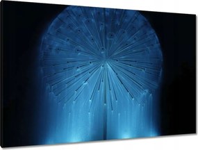 Vászonkép 120x80 Pitypang Virág Virágok