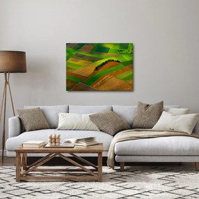 Kép - Mezők, rétek (70x50 cm)