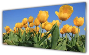 Modern üvegkép Tulipán virágok Plant 125x50 cm