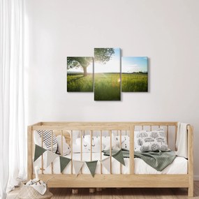 Nyári rét képe (90x60 cm)