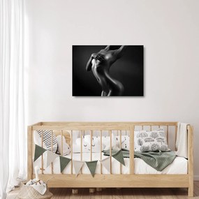 Üveg kép - Meztelen nők (70x50 cm)