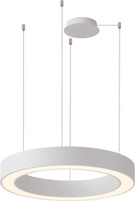 AZZARDO 5043 MARCO Modern Led Függesztett Lámpa LED IP20