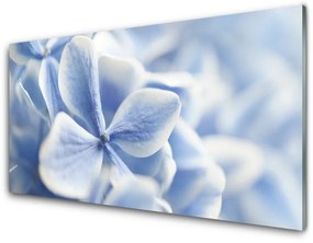 Akrilkép Szirmok virágok természet 100x50 cm