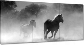 Vászonkép 60x30 Galoppozó lovak