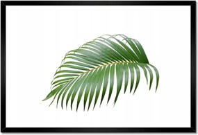 Poszterek keretben 60x40 Zöld levél Minimalizmus