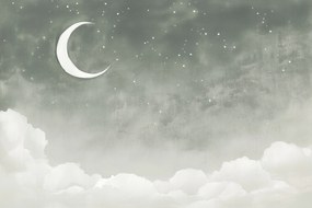 Fotótapéta Flizelina Gyerekek Éjszaka Ég Csillagok Hold Felhők 152,5x104 ragasztó