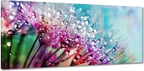 Vászonkép 150x70 Harmatcseppek Pitypang