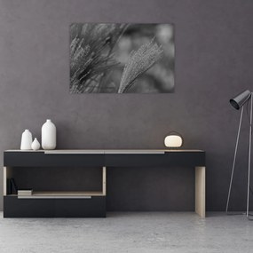 Kép - Szárított pampafű (90x60 cm)