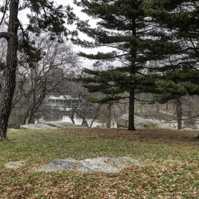 Poszter 70x70cm Central Park, New York, Assaf Frank