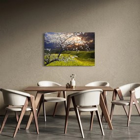 Kép - Virágzó fa az országban (90x60 cm)