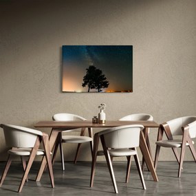 Egy éjszakai égbolt fákkal képe (90x60 cm)