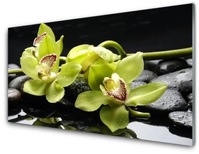 Fali üvegkép Virág orchidea növény 120x60cm 2 fogas