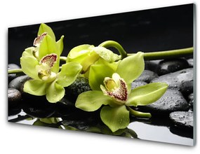 Fali üvegkép Virág orchidea növény 140x70 cm