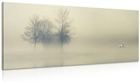 Kép fák ködben
