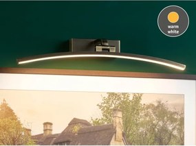Paulmann 95561 - LED/10W képvilágító lámpa BENTO 230V 50 cm sárgaréz