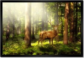 Poszterek keretben 60x40 Szarvas a varázslatos erdőben
