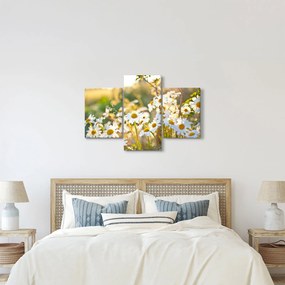 Kép - Százszorszépek (90x60 cm)