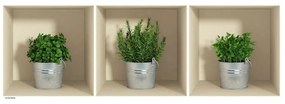 Herbs in Pot 3 db-os 3D hatású falmatrica szett - Ambiance