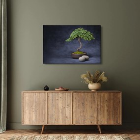 Kép - Bonsai (90x60 cm)