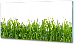 Fotótapéta falra edzett üveg Levendula 100x70