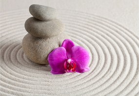 Fotótapéta Orchidea Zen Kövek Természet Relaxáció 416x254 spa meditáció +ragasztó