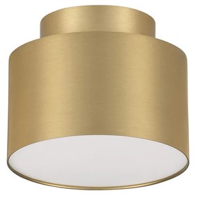 Ozen LED
