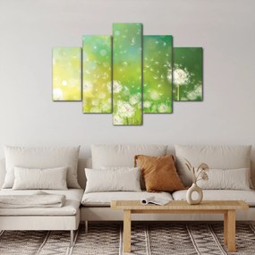 Kép - Virágozatlan pitypang (150x105 cm)