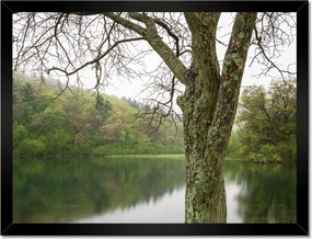 Poszterek keretben 40x30 Fa Folyó Erdő