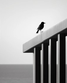 Poszter 40x50cm Magányos absztrakt