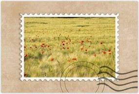 Poszterek 90x60 Pipacsok a mezőn