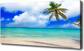 Vászonkép Karib-tenger tengerpart 100x70 cm