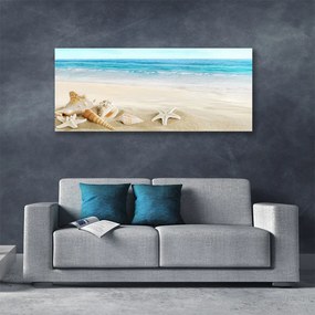 Vászonkép falra tengeri csillag kagyló 140x70 cm