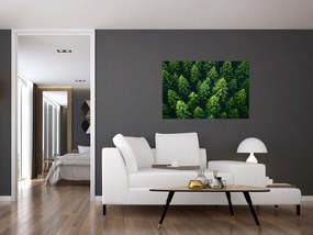 Kép - Forest (90x60 cm)