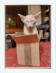 Kész képkeret, álló és függő, 20x30 cm, fehér, Tytan