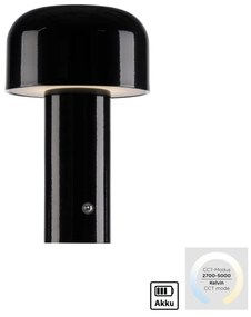Paul Neuhaus AGNES 19190-18 Asztali lámpa 1x1W/LED 2700K-5000K 25lm IP20