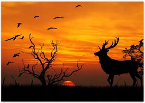 Poszterek 100x70 Szarvas és naplemente