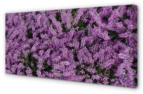 Canvas képek lila virágok 100x50 cm