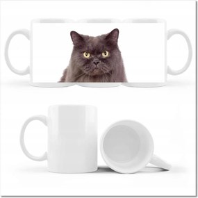 Fényképes bögre Cica Cicák