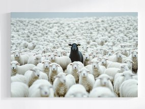 Poszter Bárányok B&amp;w Csorda Eredetiség Individualizmus 60x40
