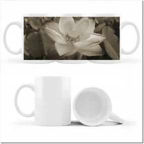 Lótusz fényképes bögre Lótuszvirág