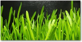 Üvegpanel konyhába Fű 140x70 cm Ragasztó