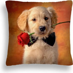 Valentin Napi Párna LOVE-02 Párnahuzat 40 X 40 Kutya