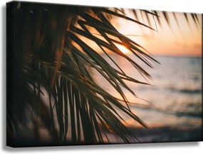 Vászonkép Természet Tengerpart Pálma Tenger Naplemente 60x40