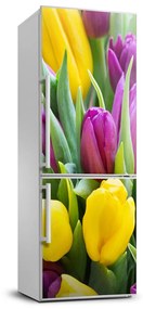 Hűtő matrica Színes tulipán FridgeStick-70x190-f-106061917