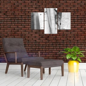 Kép - Farkas az erdőben (90x60 cm)