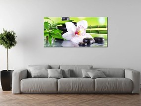 Gario Vászonkép Fehér orchidea és kövek Méret: 100 x 70 cm