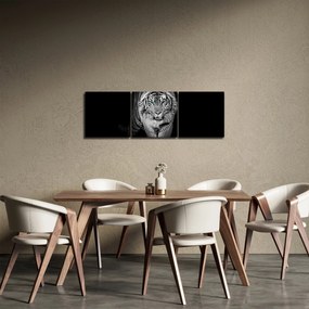 Kép - Tigris kék szemekkel (órával) (90x30 cm)