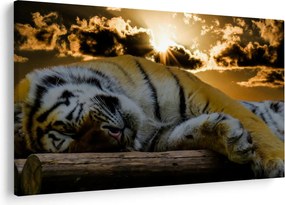 Alvó tigris képe (90x60 cm)